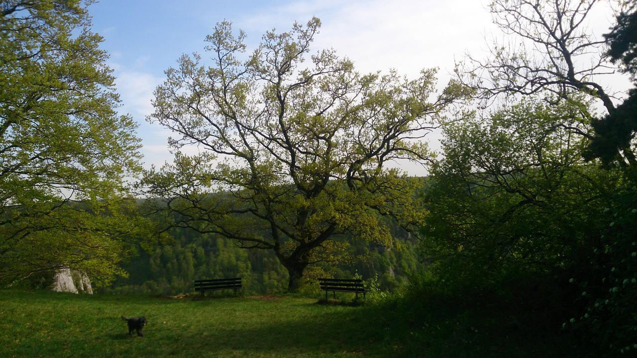 Berghaus Knopfmacher Fridingen an der Donau Buitenkant foto