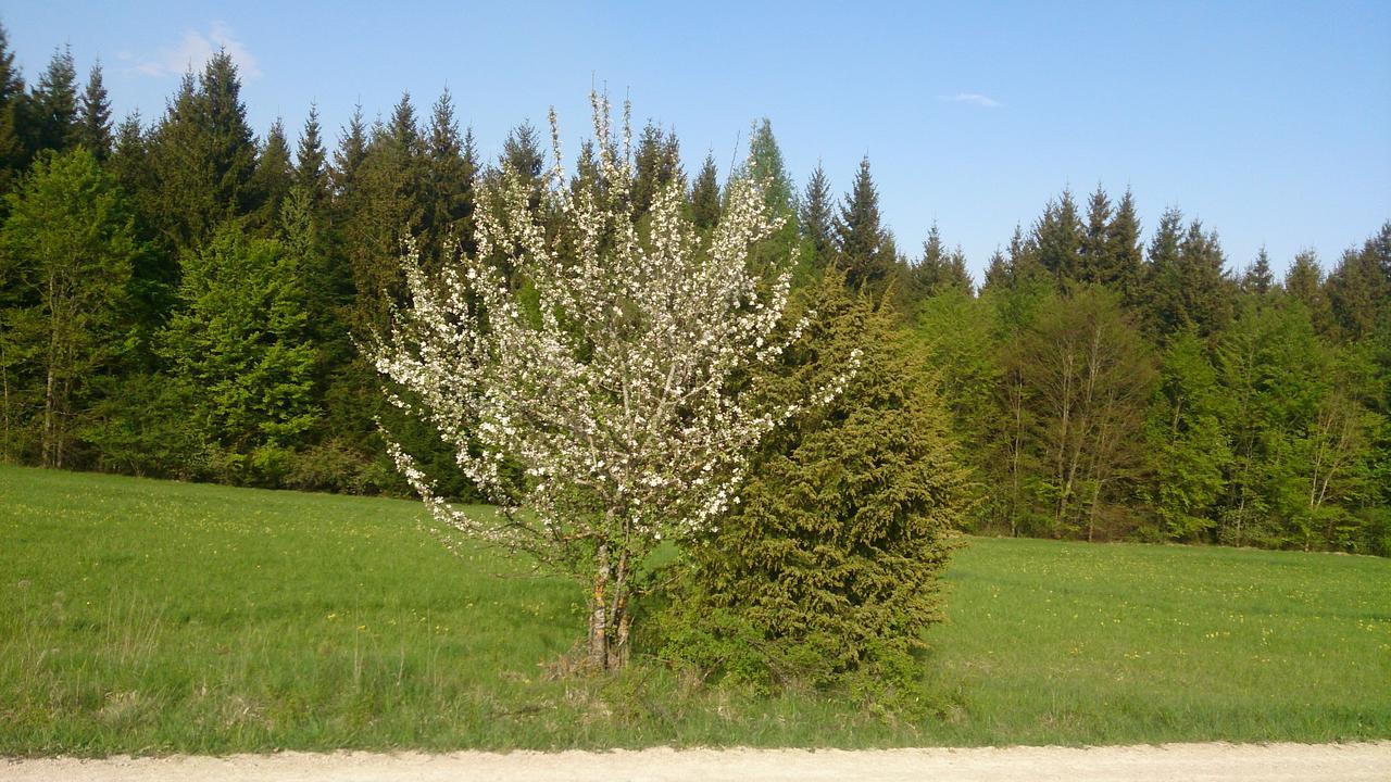 Berghaus Knopfmacher Fridingen an der Donau Buitenkant foto