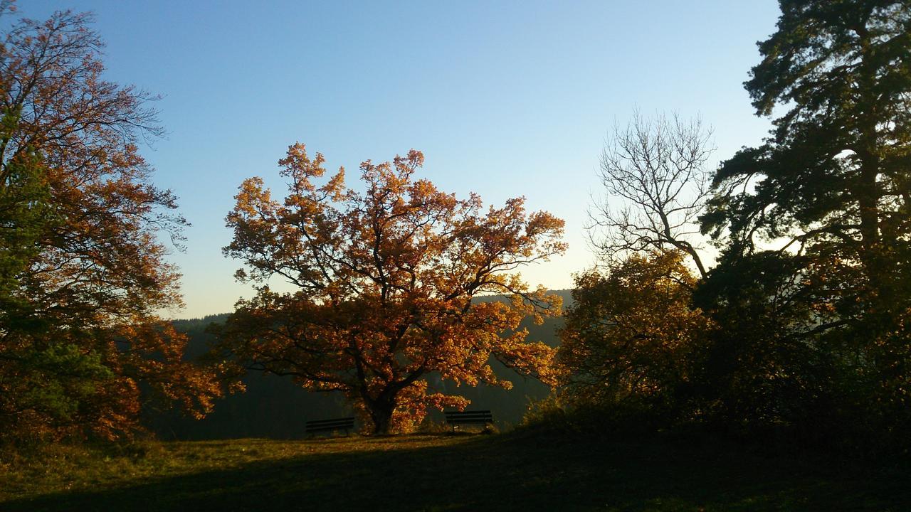 Berghaus Knopfmacher Fridingen an der Donau Buitenkant foto